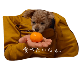 656912358