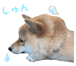 656931293