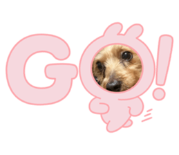 656933089