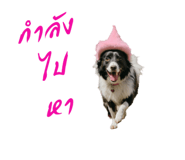 656941702