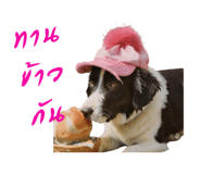656941705
