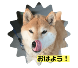 656945874
