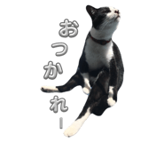 656951232