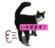 656951251