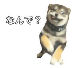656951400