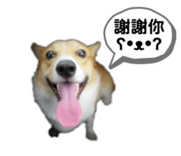 656951581