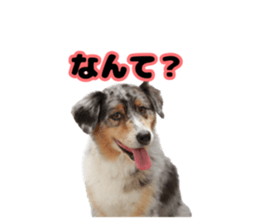 656954379