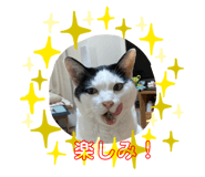 656955196