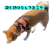 656955694