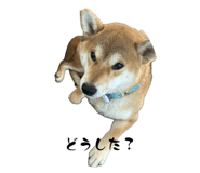 656955696
