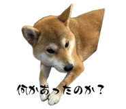 656955698