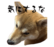 656955699