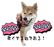 656955715