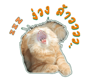 656977235