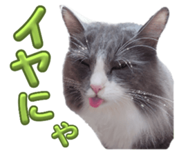656988444