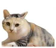 656989927