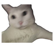 656989939