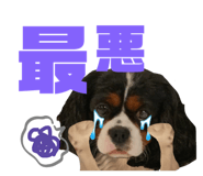 656996298