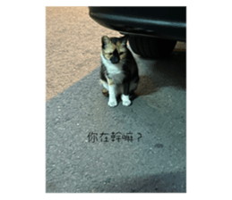 656997063
