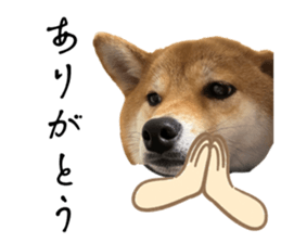 657044666
