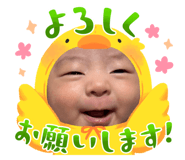 657045411