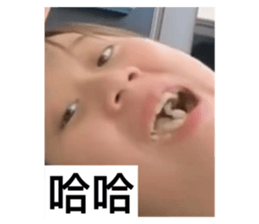 657060398