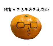 657062825
