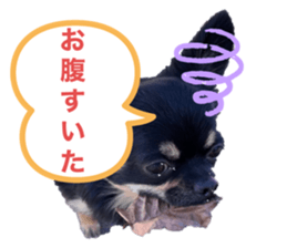 657071497