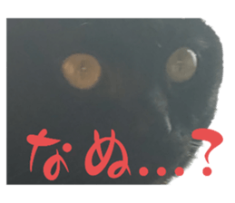 657089299