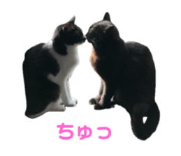 657166624