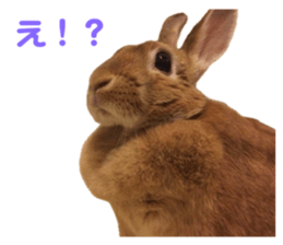 657166625