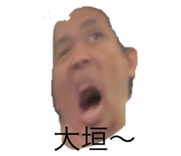 657206446