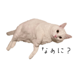 657243607