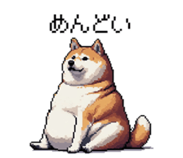 657261567