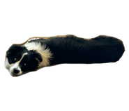 657277914