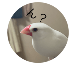 657298237