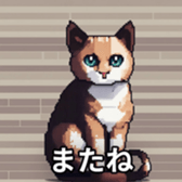 657300909