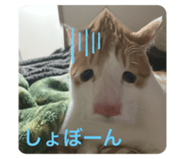 657322797