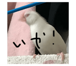 657362189