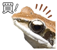 657362502