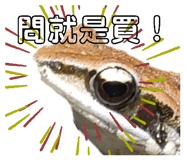 657362504
