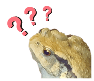 657362506
