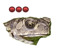 657362508