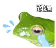 657362511