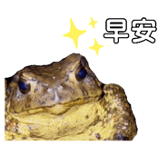 657362513