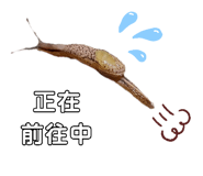 657362517