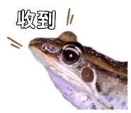 657362518