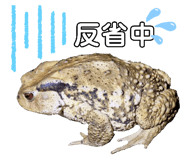 657362520