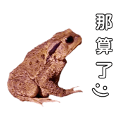 657362521