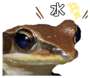 657362522